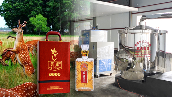 用大型釀酒設(shè)備釀鹿茸酒，走出黑龍江生態(tài)旅游發(fā)展特色之路！