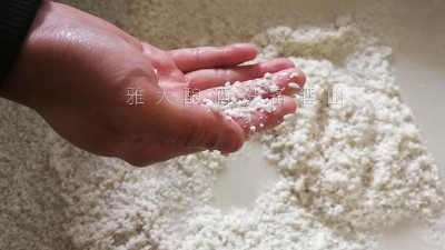 10年釀酒經驗的大型釀酒設備廠家，教您做金銀花糯米酒！