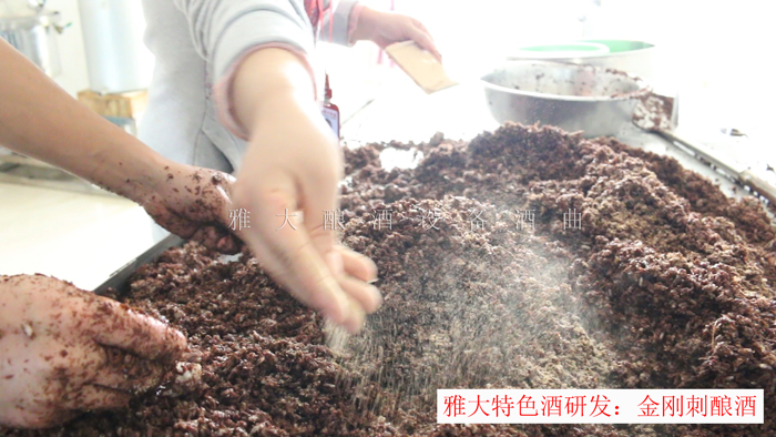 新型釀酒設(shè)備釀造的金剛刺酒賣(mài)188元一斤，唐總卻不知足…