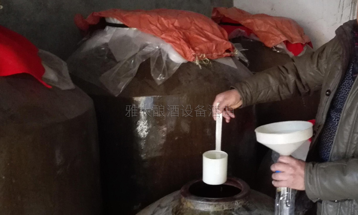 31-20年老師傅用雅大小型酒廠釀酒設(shè)備、地缸釀出“最干凈的酒”地缸0