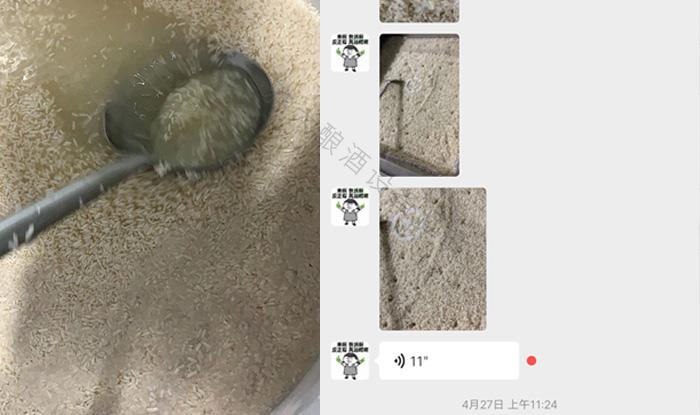 受疫情影響不讓養(yǎng)蛇，用電加熱釀酒設(shè)備做酒迎來新未來！ 3