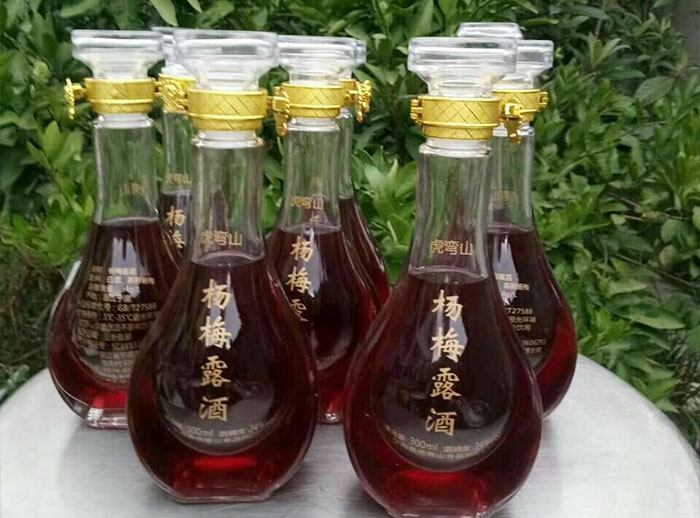 果酒釀酒設(shè)備釀造楊梅酒