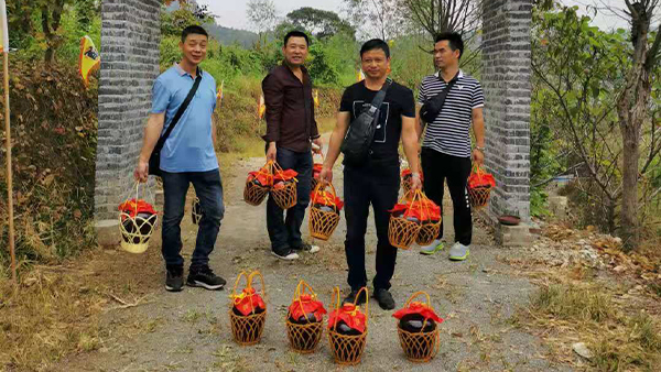 引進(jìn)小型酒廠釀酒設(shè)備升級(jí)老酒坊，武功山黑糯米酒坊變身“釀酒農(nóng)莊”