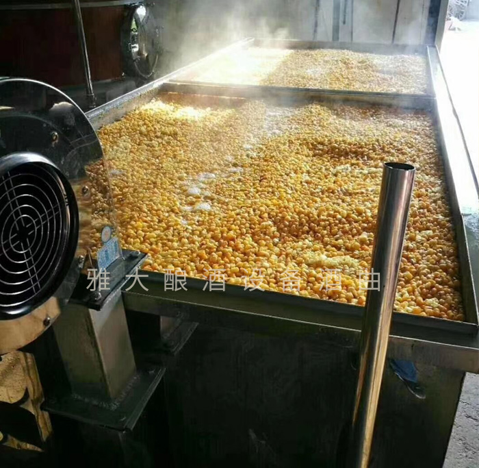 3.31用攤晾蒸煮釀酒設(shè)備蒸玉米，熟得又快又均勻