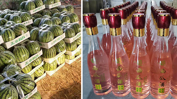常大哥用不銹鋼釀酒設(shè)備做西瓜酒，“花樣”賺錢