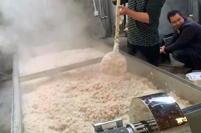 1-12蒸玉米酒的同時，500斤大米也蒸煮.jpg