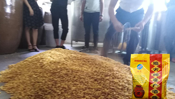 40年老師傅用糧食釀酒設(shè)備做酒有訣竅，蒸餾蒸糧一步到位！