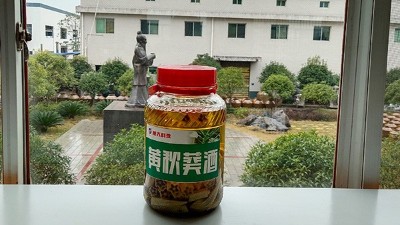 做酒設(shè)備釀造黃秋葵酒，3種不同工藝，哪種工藝釀的更好喝？