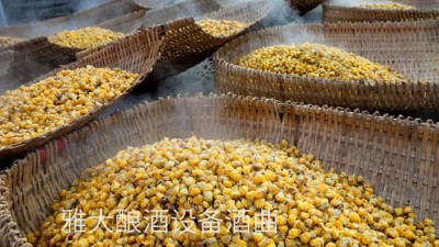 看過來，用玉米釀酒設(shè)備制作整料玉米酒的標(biāo)準(zhǔn)教程在這里！