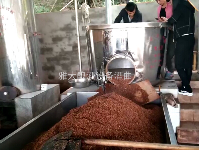 3.11熟料釀酒設備做酒，酒糟養(yǎng)豬