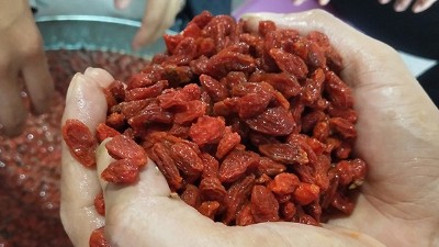 學(xué)會(huì)枸杞酒的三種常見(jiàn)釀酒技術(shù)，您就是釀酒高手！