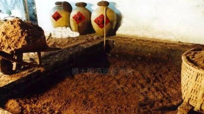 用高粱釀酒設備做濃香型白酒，酒好全憑窖池老！