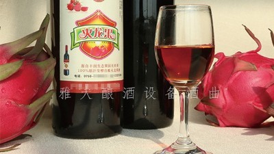 雅大釀酒設(shè)備廠家，果酒研發(fā)一年四季不打烊