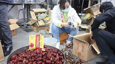 “五一”假期出游新風向，自駕車來大型釀酒設(shè)備廠家實操釀紅棗酒