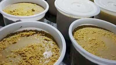 玉米熟料液態(tài)酒怎么做？小型酒廠(chǎng)釀酒設(shè)備玉米液態(tài)釀酒技術(shù)