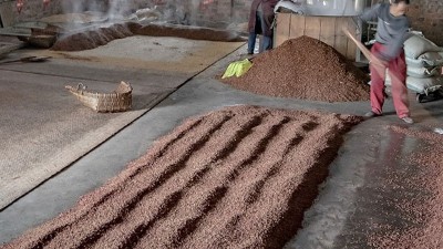 咱家不差錢，你又一把年紀(jì)了，何必堅(jiān)持用中型釀酒設(shè)備做酒？