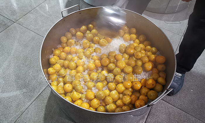 帶皮皇帝柑釀酒技術-加糖