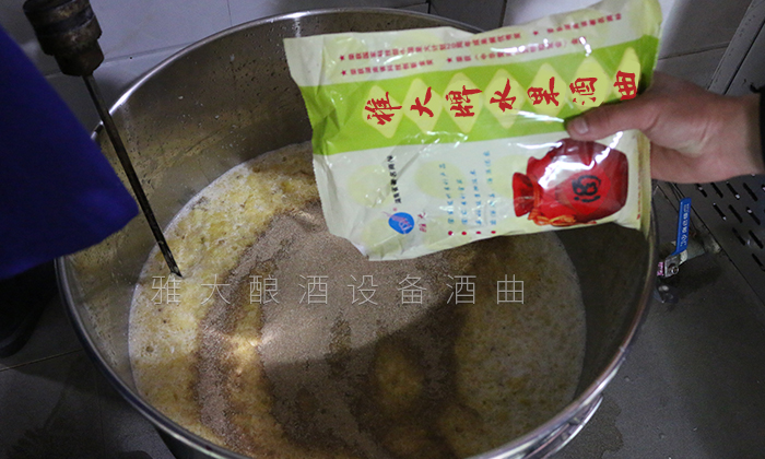 去皮皇帝柑釀酒技術—加水果酒曲