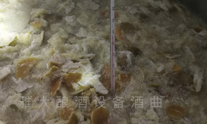 帶皮黃帝柑釀酒技術—下曲前測量溫度