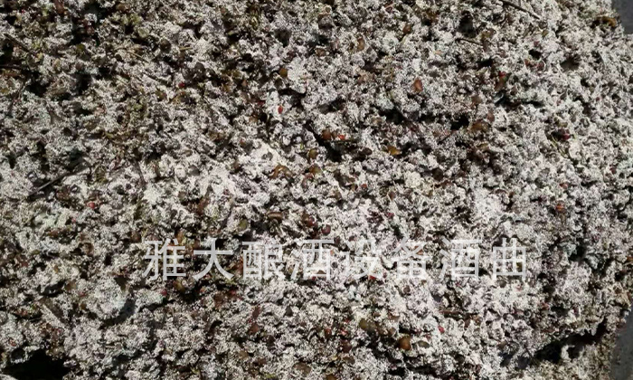 11.6拐棗釀酒技術——發(fā)酵