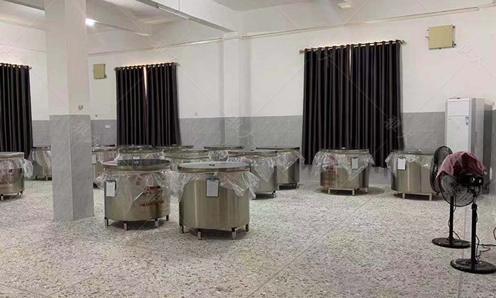 12-7第一批大米酒發(fā)酵完成，可以蒸酒了