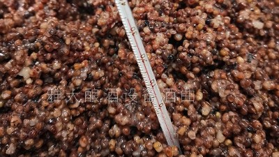 用燒酒設(shè)備在家開個酒坊，嚴把質(zhì)量關(guān)才是核心！