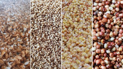 釀酒設(shè)備廠家專家提醒：糧食選擇不對，您釀的酒將無人問津
