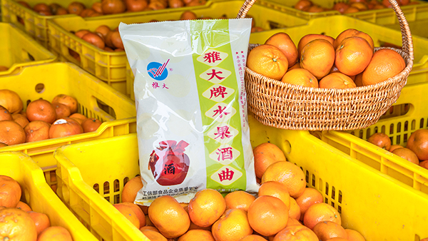 桔子滯銷怎么辦，試試用果酒釀酒設(shè)備將它們釀成酒吧！