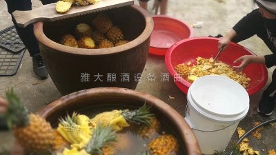 用果酒釀酒設(shè)備做菠蘿酒，簡(jiǎn)單易學(xué)，只需簡(jiǎn)單幾步。