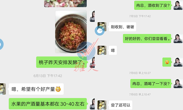 10.28雅大幫忙研發(fā)的黃桃酒，冉總品嘗后很滿意