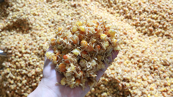 驚！夏季用白酒蒸餾設(shè)備做固態(tài)酒時加入輔料作用這么大！