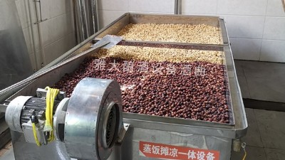 蓮子酒怎么做？11步教您用小型酒廠釀酒設(shè)備做出美味蓮子酒