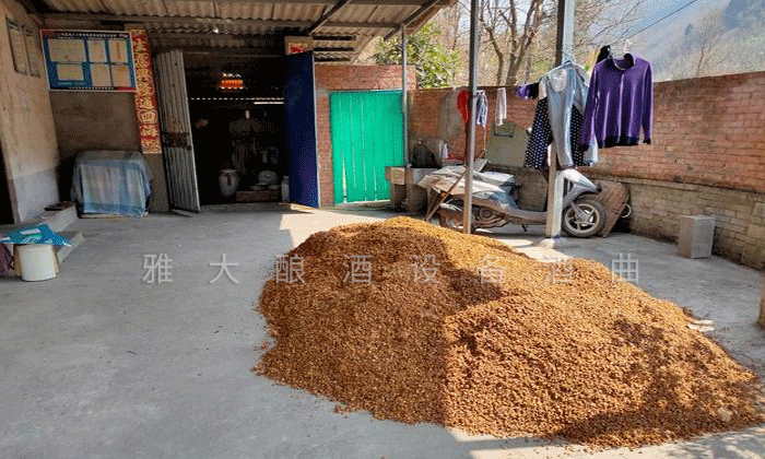 7.7剛剛蒸餾出來(lái)的新鮮酒糟，配糟用.png