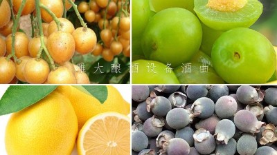 藏在果園里的果酒釀酒設(shè)備酒坊，生意卻依然火爆！