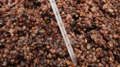 夏季用烤酒設(shè)備釀酒全攻略，零失敗釀酒有妙招