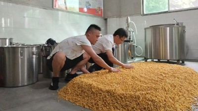 零基礎(chǔ)用做酒設(shè)備釀酒，必須要掌握糖化和酒化的6大要點(diǎn)！