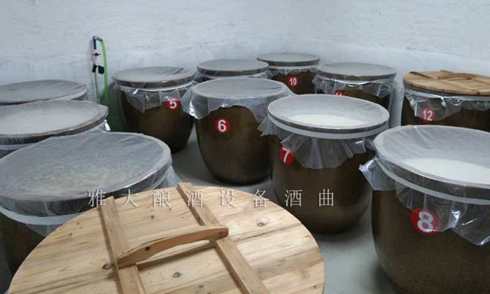 12.26干凈整潔的發(fā)酵車間、科學(xué)的管理