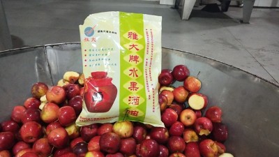 龍豐果酒怎么釀？雅大小型酒廠釀酒設(shè)備現(xiàn)場教您釀！